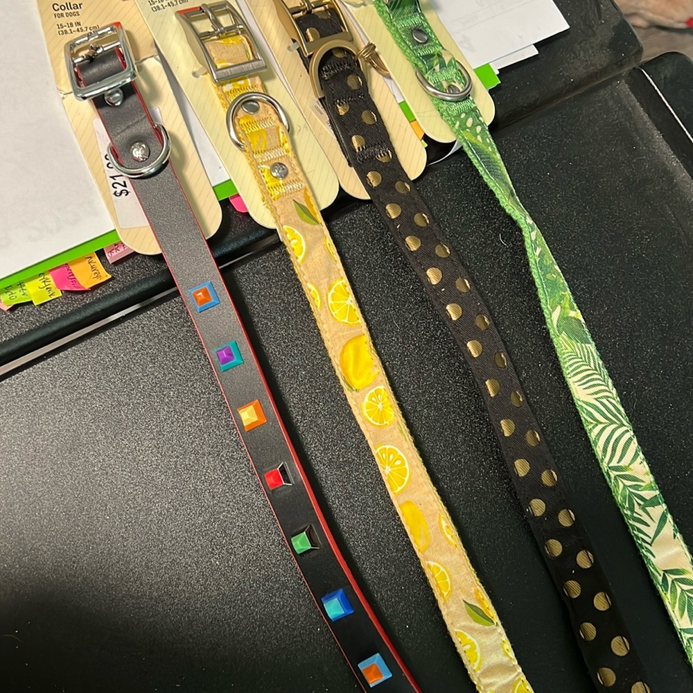 Medium dog collar